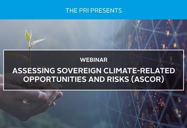 Assessing sovereign climate-related opportunities and risks (ASCOR)