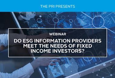 Do ESG Information Providers Meet the Needs of Fixed Income Investors
