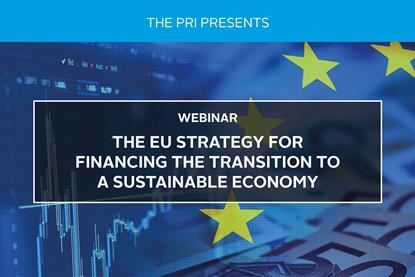 The EU Strategy for Financing the Transition to a Sustainable Economy