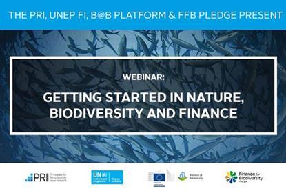 Getting started in nature biodiversity and finance (002)