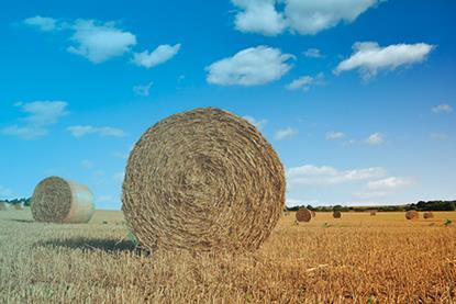 农田秸秆包132746342份