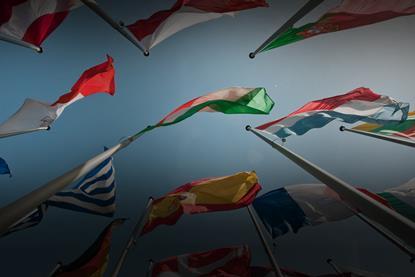 Flags hero(1)