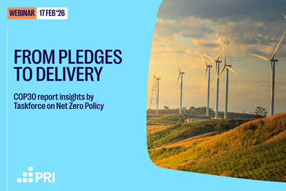 THUMNAIL From Pledges to Delivery COP30 Insights from the Policy Matters report by TNZP (4)