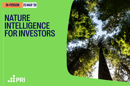 Copy of Copy of THUMNAIL From Pledges to Delivery COP30 Insights from the Policy Matters report by TNZP