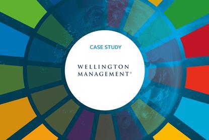 SDGs_Case_study_Wellington
