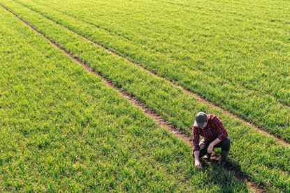 Blog 2 image - agriculture