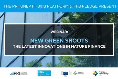 New green shoots – the latest innovations in nature finance