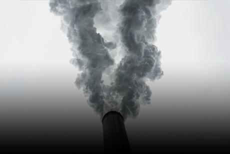 Stewardship_Climate行动