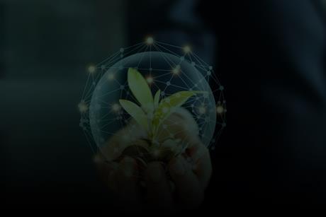 Wealth_sustainability_hero博客