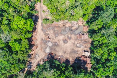 Brazil Policy Analysis