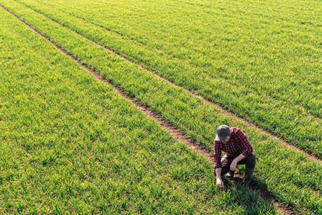 Blog 2 image - agriculture