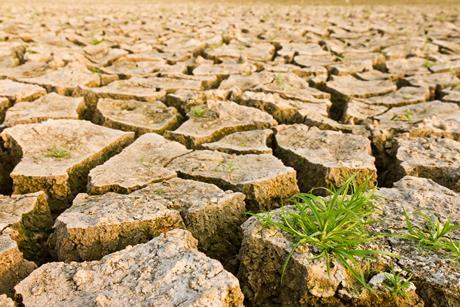 Climate change