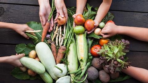 shutterstock_1167067372