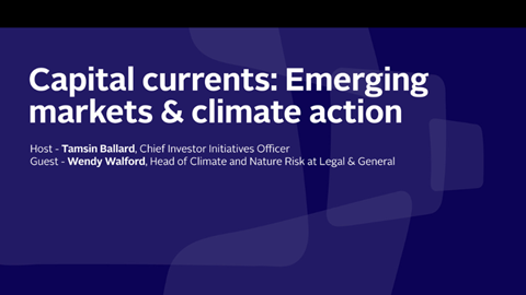Tamsin_Ballard_and_Wendy_Walford_Capital_currents_Emerging_markets_&_climate_action