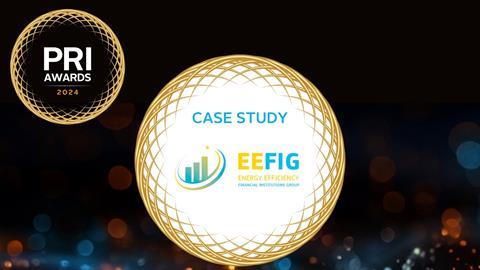 EEFIG