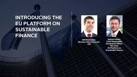 IN_Podcast_Introducing-the-EU-platform-on-sustainable-finance_built in_blank