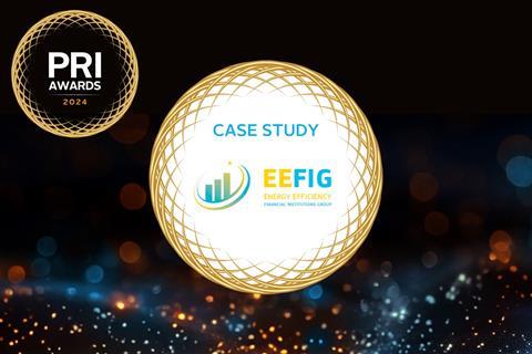 EEFIG