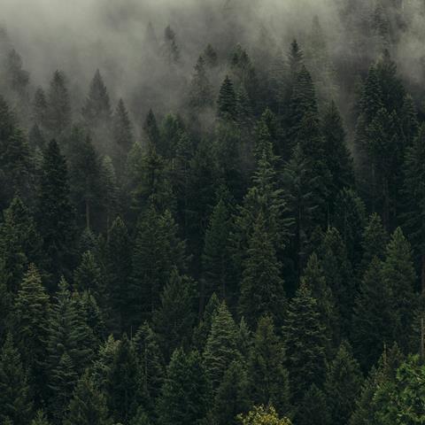 dan-otis-OYFHT4X5isg-unsplash