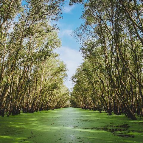 fuu-j-hfU4d8bjE3A-unsplash