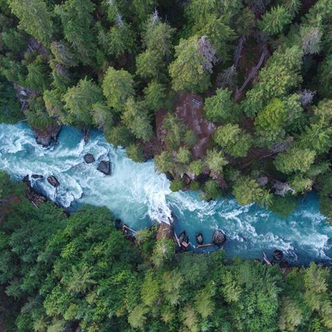 Nature_based_Investing