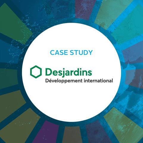 Desjardins sdgs banner