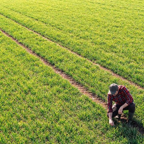 Blog 2 image - agriculture