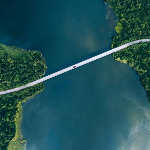 bridge-trees