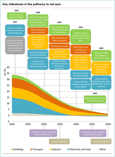 Key milestones in the pathway to net zero