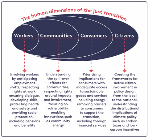 Your Impact — Project Transitions