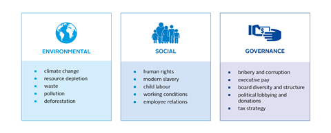 Examples of ESG issues