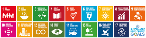 sdg icons