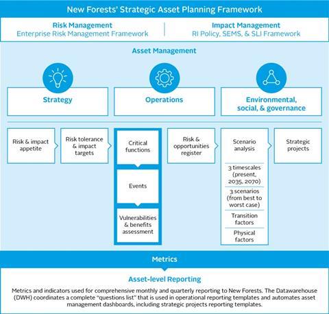 New Forests' Strategic Asset Planning Framework