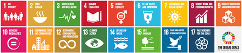 un sdgs