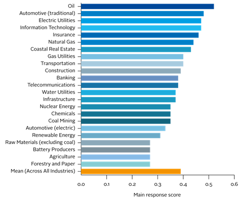 Institutional investors' views on climate risk mispricing