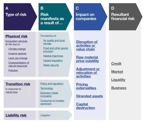 Graphic showing a framework for identifying nature-related financial risks