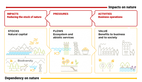 Graphic showing the impacts on and dependencies of natural capital stocks, flows, and values in relation to the financial system