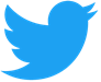 twitter_logo_blue.